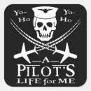 Search for flight instructor stickers Aviation