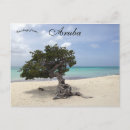 Search for divi Beach
