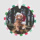 Search for red and green christmas tree decorations Dog