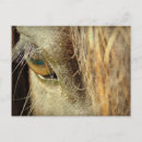 Search for black eye postcards Photography