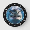 Search for shark clocks Great white shark