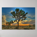 Search for mojave art San bernardino county