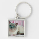 Search for four cats key rings Animal