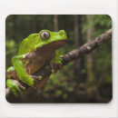 Search for arboreal mousepads Frog