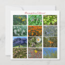 Search for blooming note cards Plants