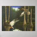 Search for mallard duck painting posters Wildlife