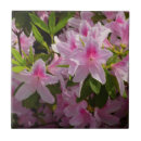 Search for bush tiles Nature