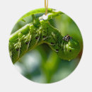 Search for caterpillar christmas tree decorations Bug