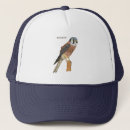 Search for hawk bird hats Peregrine