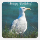 Search for beach bird stickers Wildlife