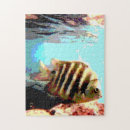 Search for tropical fish puzzles Underwater