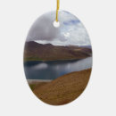 Search for mountains oval christmas tree decorations Lake