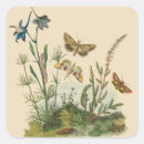 Search for life cycle stickers Nature