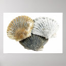 Search for photography art Simple