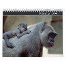 Search for gorilla calendars Ape