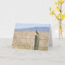 Search for birdwatcher card cards Cute