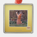 Search for challenge christmas tree decorations I can has cheezburger