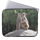 Search for couples laptop cases Cute