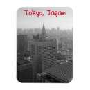 Search for metropolitan magnets Skyline