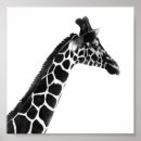 Search for zoo kids posters Giraffe