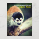 Search for funny squirrel pictures cards Wildlife