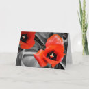 Search for red tulip cards Bloom