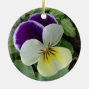 Search for pansy christmas tree decorations Lavender