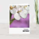 Search for dewdrops cards Floral