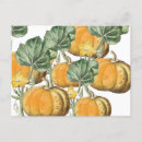Search for tissue postcards Halloween