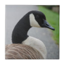 Search for goose tiles Waterfowl