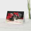 Search for pointer dog cards Shorthaired