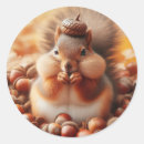 Search for squirrel with acorn stickers Wildlife