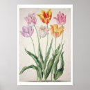 Search for c p a posters Walther