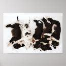 Search for veterinary art Small business