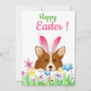 Search for funny easter cards Bunny