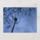 Search for making postcards Blue