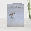 Search for wren bird cards Animal