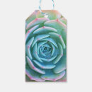 Search for succulent gift tags Cacti