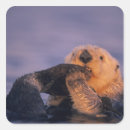 Search for ocean sunset stickers Cute