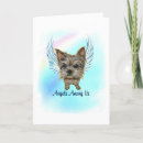 Search for yorkie angel Terrier
