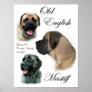 Search for mastiff art Old english mastiff