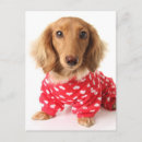 Search for dachshund valentines day cards Animal