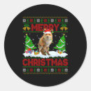 Search for special offers stickers Holiday flash