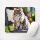 Search for maine coon cat mousepads Flowers