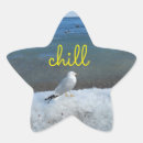 Search for star shape stickers Snow