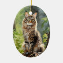 Search for brown tabby cat christmas tree decorations Feline