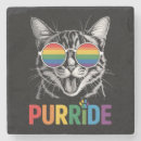 Search for gay coasters Pride