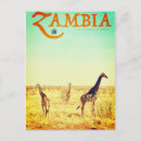 Search for giraffe stamp postcards African safari