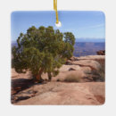 Search for rock” christmas tree decorations Hiking