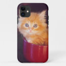 Search for ginger cat iphone cases Pets